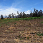 Vista adicional de terreno en venta en El Inga, Quito, Pichincha