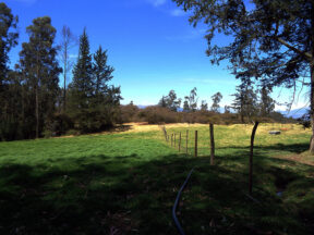 Terreno en Venta sector Inga, 91,78 has, Hacienda, Ruta E35