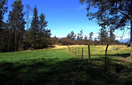 Terreno en Venta sector Inga, 91,78 has, Hacienda, Ruta E35