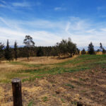 Vista adicional de terreno en venta en El Inga, Quito, Pichincha