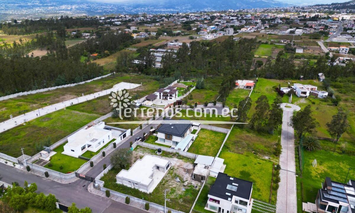 lote5.3
