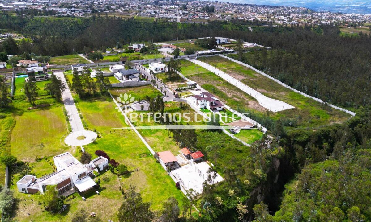 lote5.4