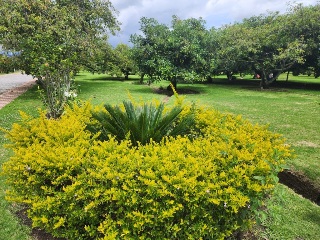 Vista adicional de terreno en venta en Puembo, Quito, Pichincha