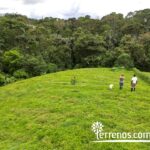 Vista adicional de terreno en venta en Pedro Vicente Maldonado, Pichincha