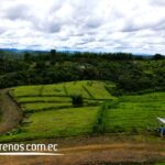 Vista adicional de terreno en venta en Pedro Vicente Maldonado, Pichincha