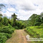 Vista adicional de terreno en venta en Pedro Vicente Maldonado, Pichincha