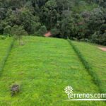 Vista adicional de terreno en venta en Pedro Vicente Maldonado, Pichincha