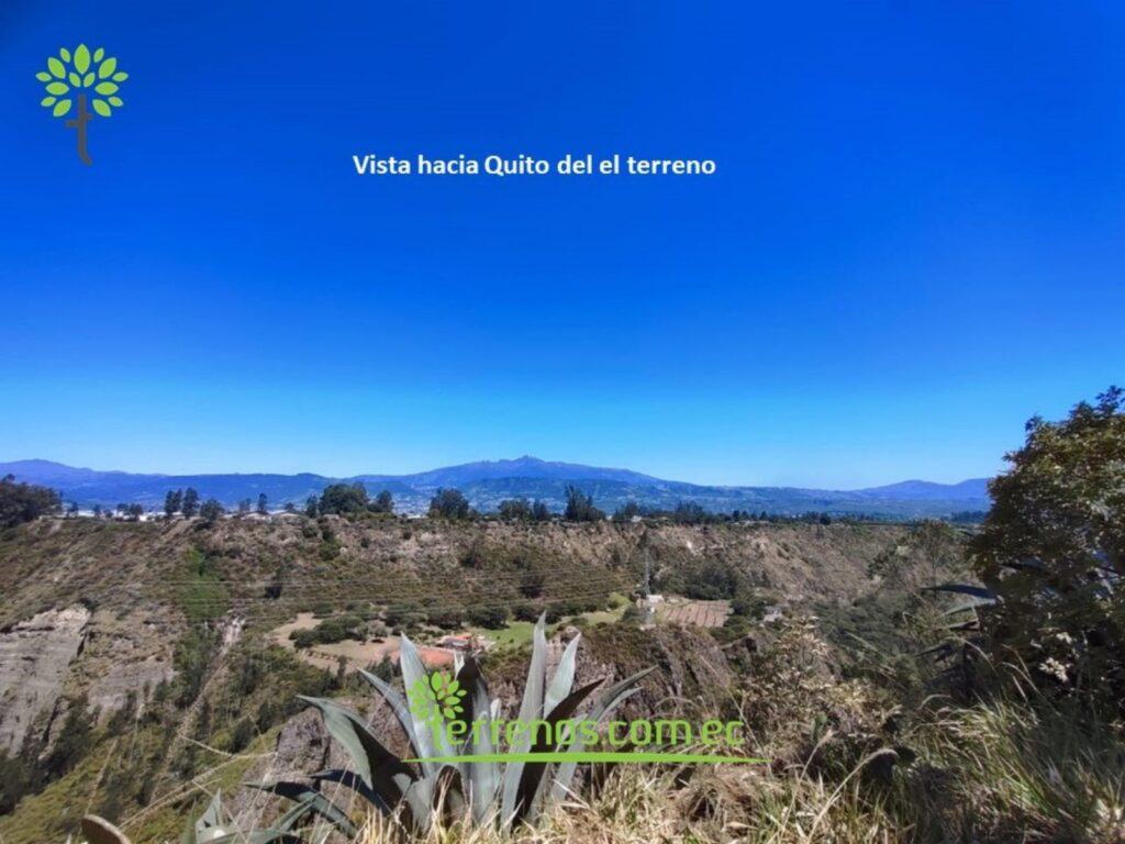 Vista adicional de terreno en venta en Puembo, Quito, Pichincha