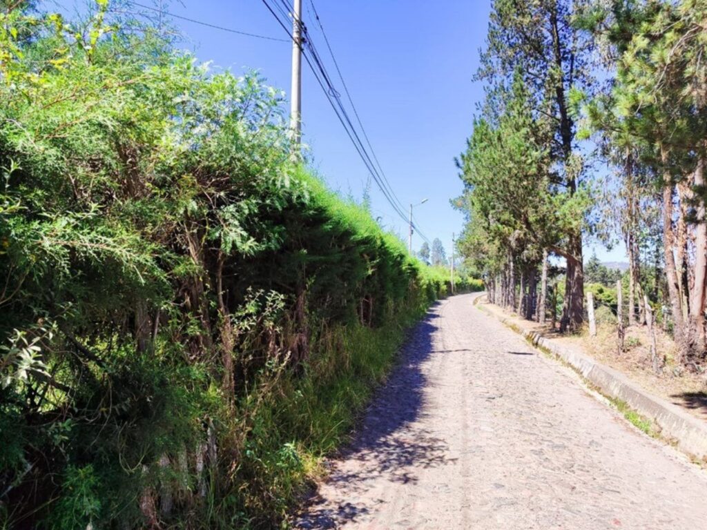 puembo