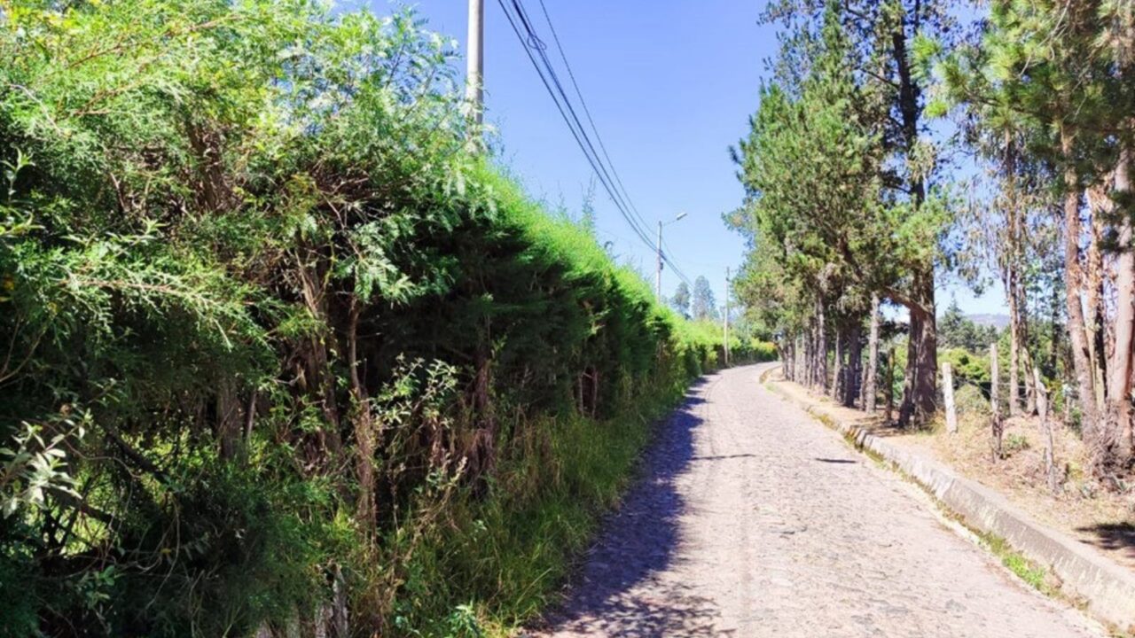 puembo9