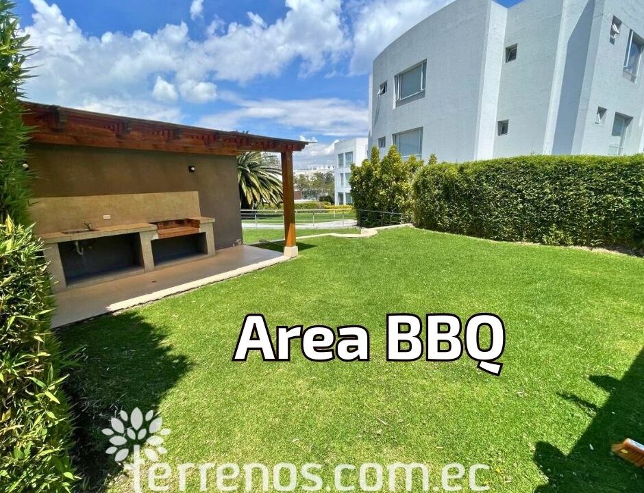 BBQ