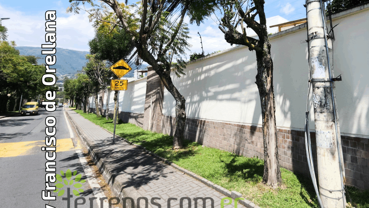 Calle