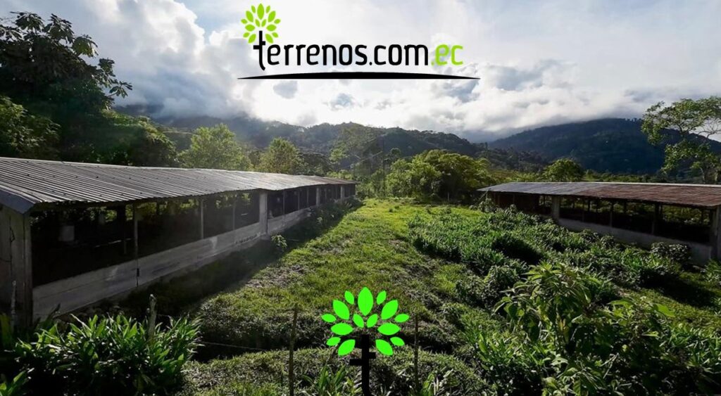 Vista adicional de terreno en venta en El Tena, Napo