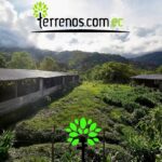 Vista adicional de terreno en venta en El Tena, Napo