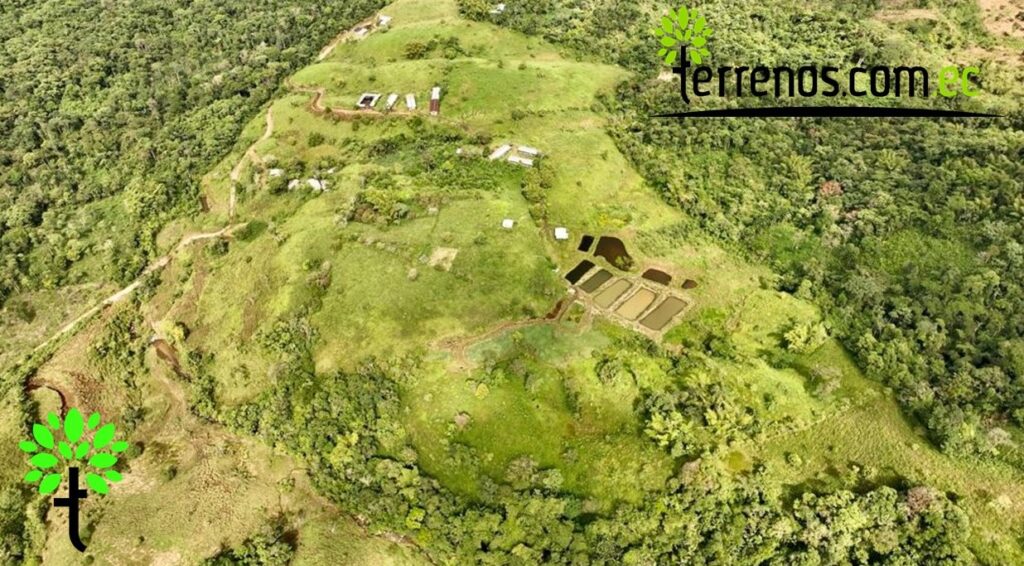 Vista adicional de terreno en venta en El Tena, Napo