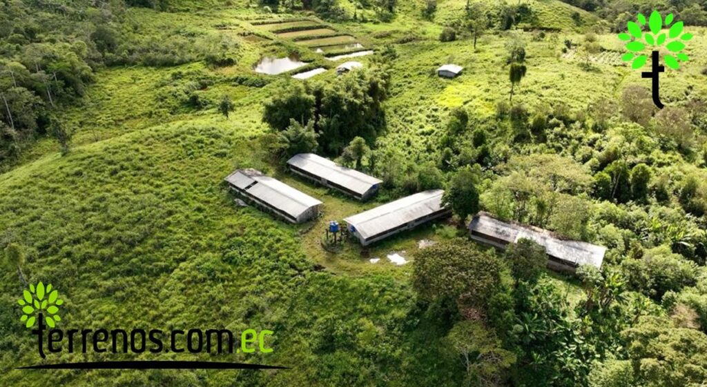 Vista adicional de terreno en venta en El Tena, Napo