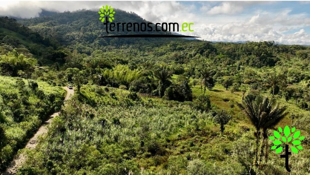 Vista adicional de terreno en venta en El Tena, Napo