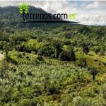 Vista adicional de terreno en venta en El Tena, Napo