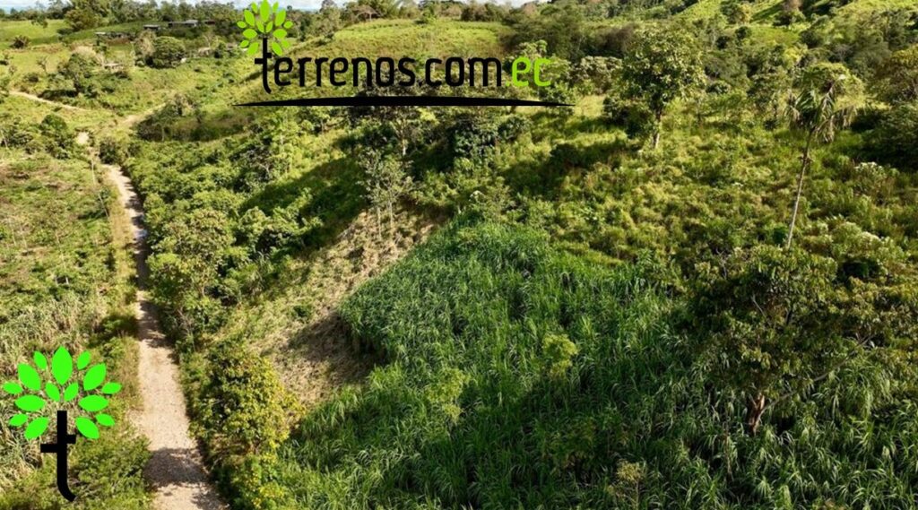 Vista adicional de terreno en venta en El Tena, Napo