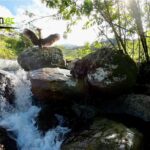 Vista adicional de terreno en venta en El Tena, Napo