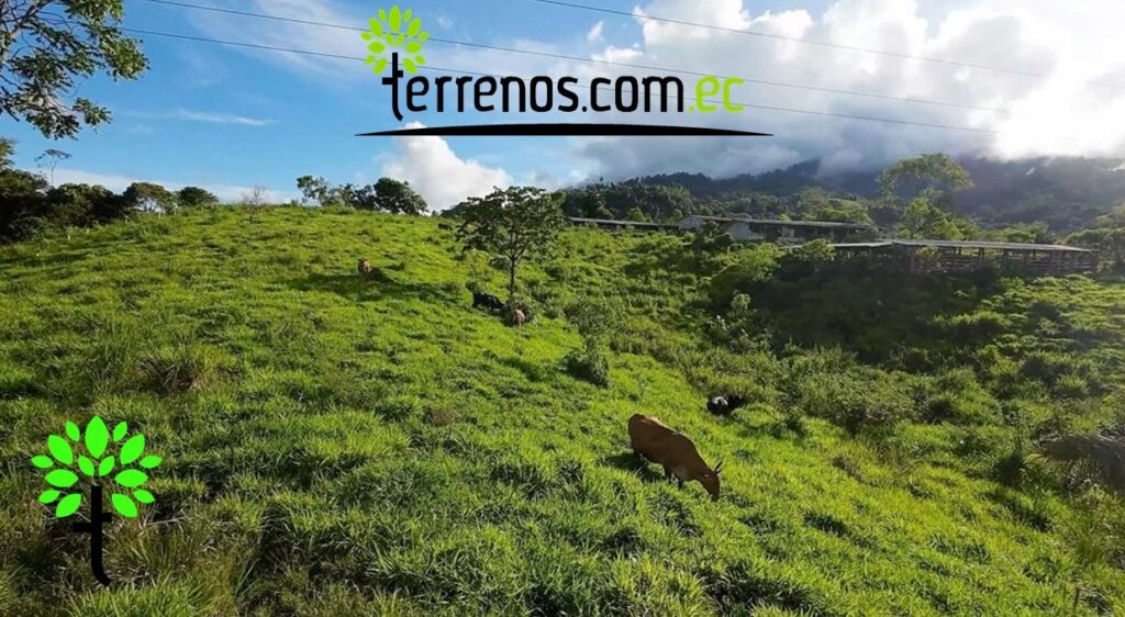 Vista adicional de terreno en venta en El Tena, Napo