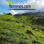Vista adicional de terreno en venta en El Tena, Napo