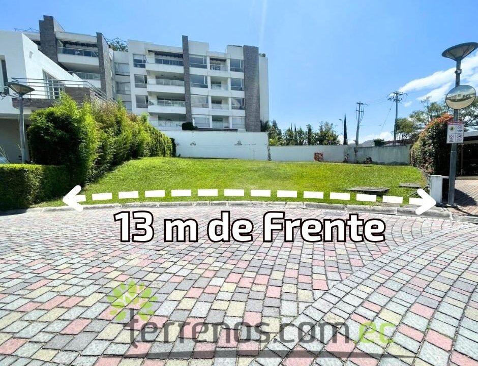 Frente