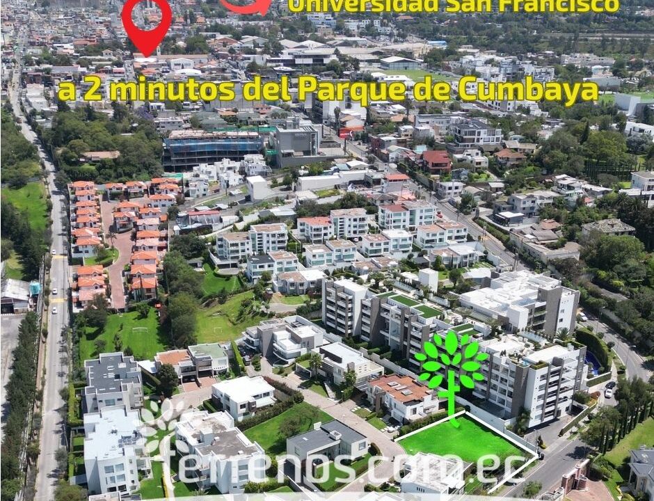 Lugar 2