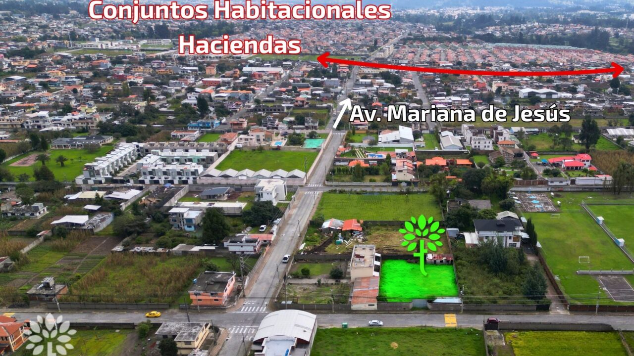 Lugar 3