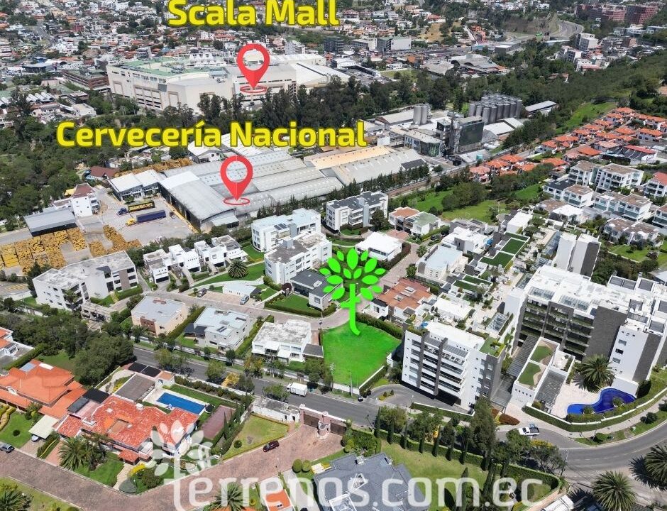 Lugar