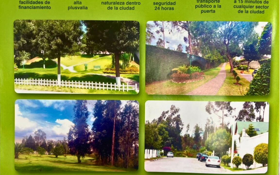 Areas Sociales