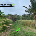 Vista adicional de terreno en venta en Cojimies, Manabi