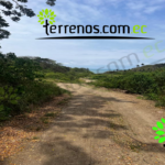 Vista adicional de terreno en venta en Cojimies, Manabi