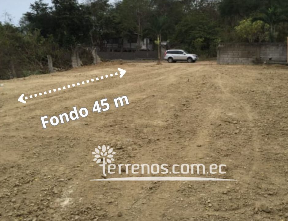 Fondo
