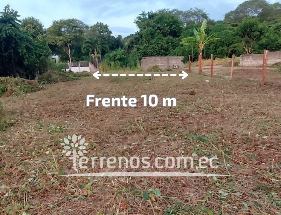 Frente
