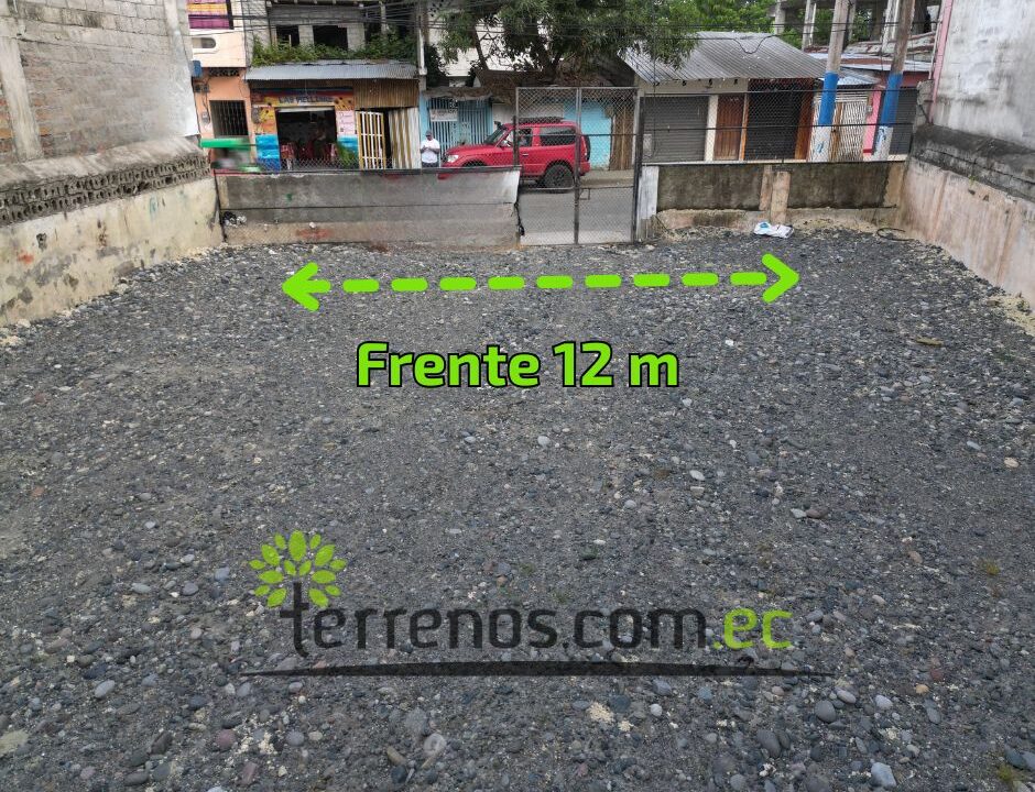 Frente