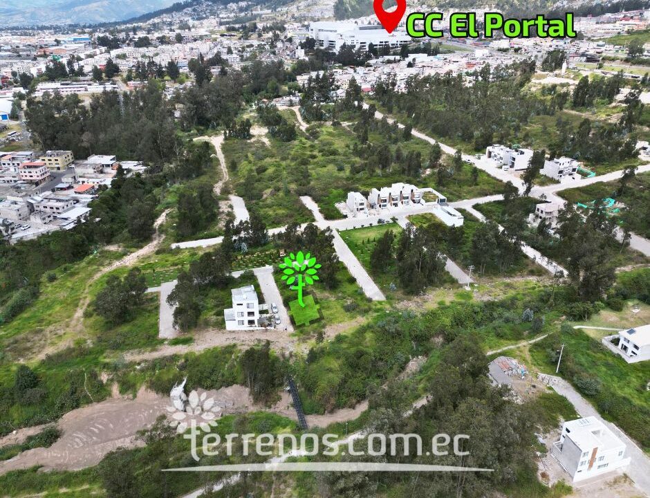 Lugar 2