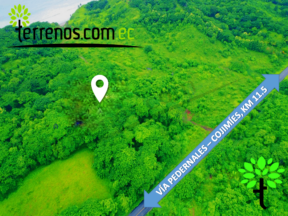 Terreno de venta en vía Cojimíes 6.300 m2, Sector Surrones
