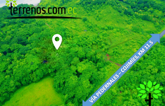 Terreno de venta en vía Cojimíes 6.300 m2, Sector Surrones