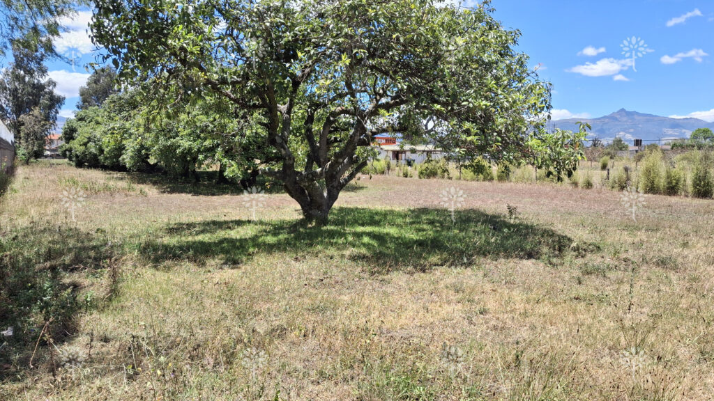 Vista adicional de terreno en venta en Los Chillos, Pichincha