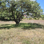 Vista adicional de terreno en venta en Los Chillos, Pichincha