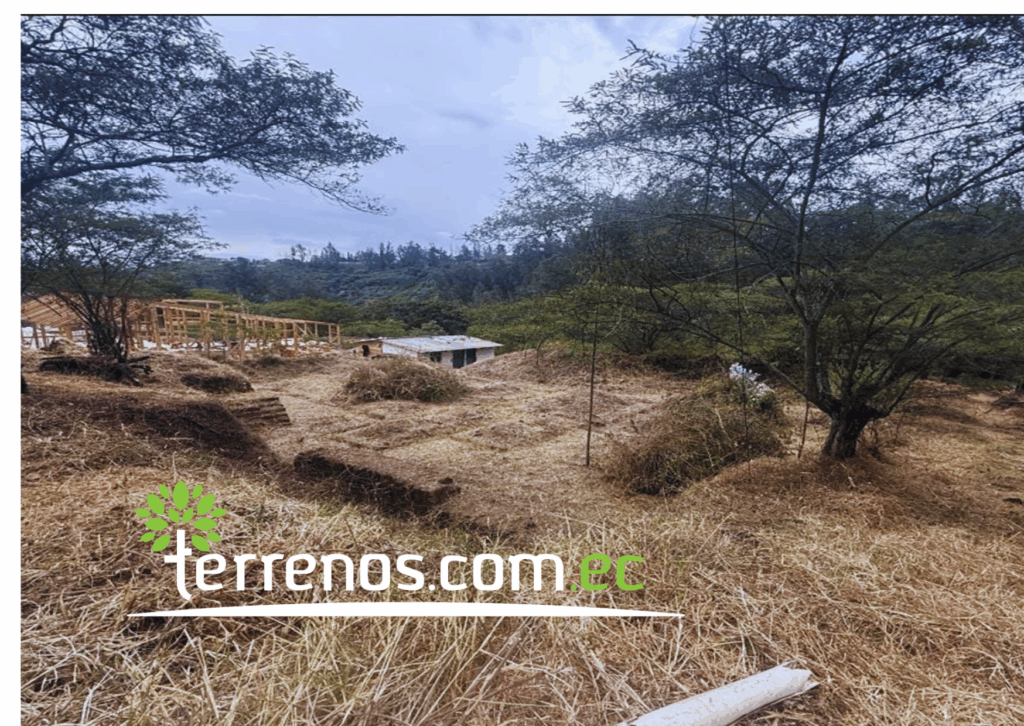 Vista adicional de terreno en venta en Puembo, Quito, Pichincha