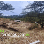 Vista adicional de terreno en venta en Puembo, Quito, Pichincha