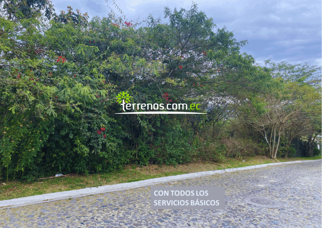 Vista adicional de terreno en venta en Tumbaco, Quito, Pichincha