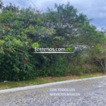 Vista adicional de terreno en venta en Tumbaco, Quito, Pichincha