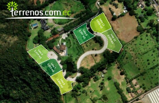Terrenos de venta de 2.397m2 a 2.618m2, Arrayanes, Puembo