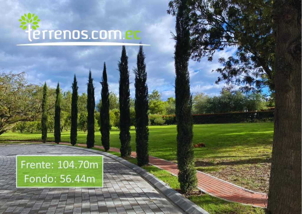Vista adicional de terreno en venta en Puembo, Quito, Pichincha