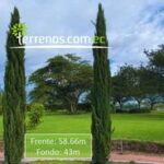 Vista adicional de terreno en venta en Puembo, Quito, Pichincha