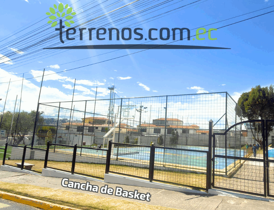 Cancha