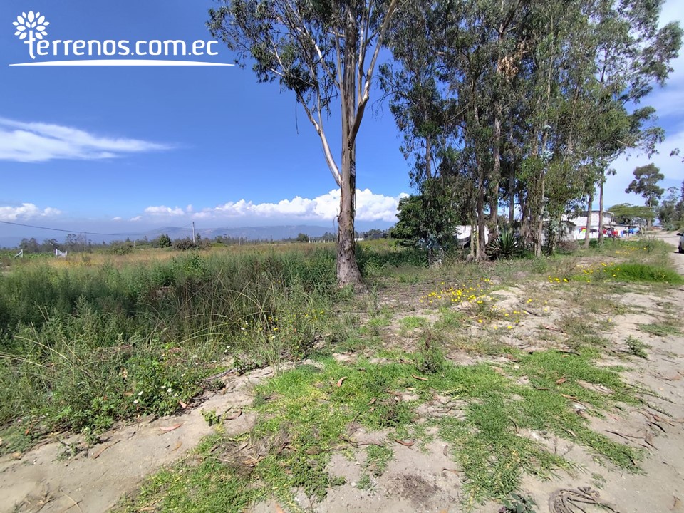 Terreno Independiente de Venta en Malchingui